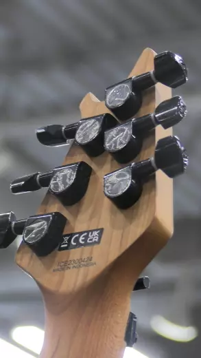 EVH - Wolfgang WG Standard QM 4